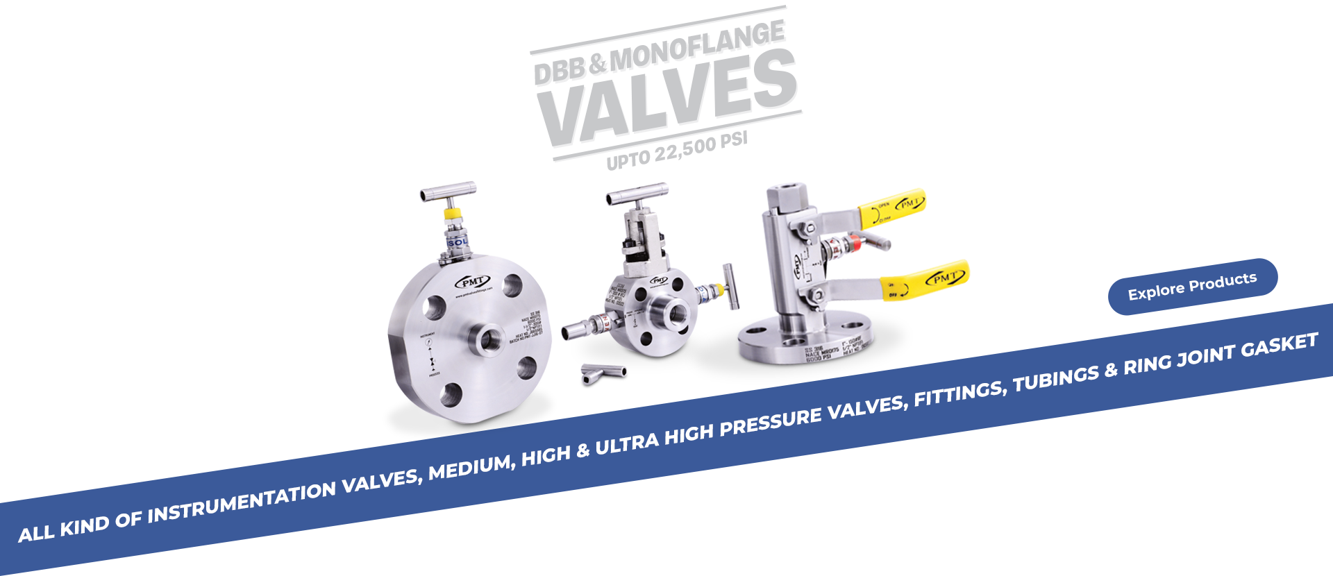 DBB & Monoflange Valves