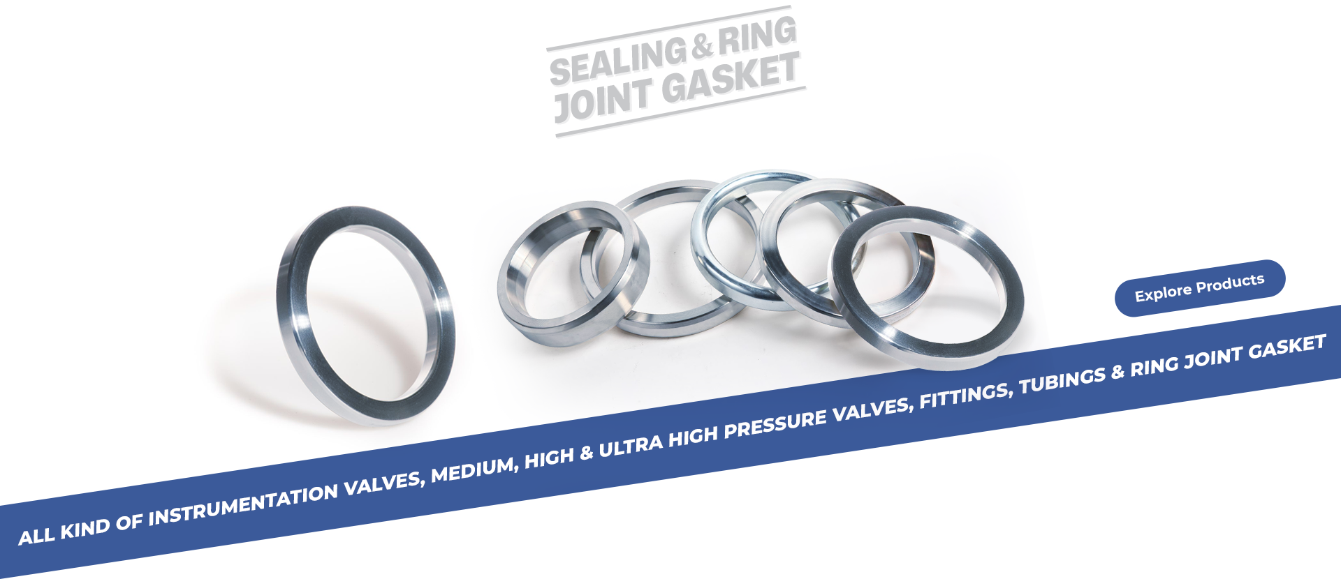 Sealing & Ring Joint Gasket